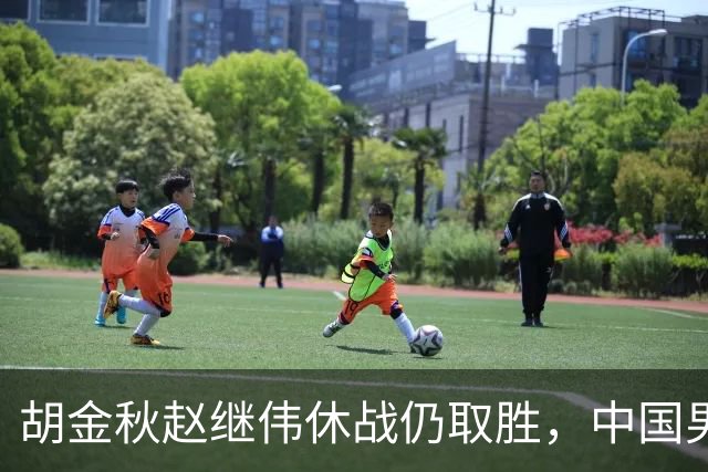 胡金秋赵继伟休战仍取胜，中国男篮74比63格鲁吉亚，收获两连胜