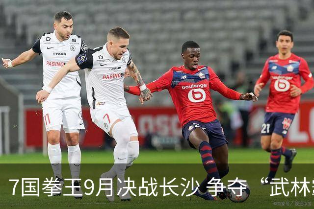 7国拳王9月决战长沙 争夺“武林霸主”